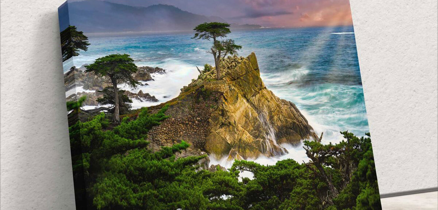 Lone Cypress Ocean Picture directory